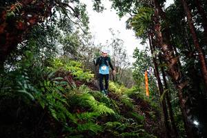 BIB: 
                            <button type="button" onclick="openModal(26205276)" class="btn btn-primary btn-sm float-right btn-popup" data-toggle="modal" data-target=".modal-high-quality">
                        <i class="fas fa-shopping-cart"></i> Add to Cart
                    </button>
                                            <button type="button" onclick="isThisMe(26205276, true)" class="btn btn-success btn-sm float-right btn-popup btn-isme hidden" data-toggle="tooltip" data-placement="bottom" title="นี่คือรูปของคุณใช่ไหม คลิกที่นี่เพื่อเอาเข้าอัลบั้ม">
                        <i class="fas fa-plus"></i> Add to album
                    </button>
                    <button type="button" onclick="isThisMe(26205276, false)" class="btn btn-warning btn-sm float-right btn-popup btn-isnotme hidden">
                        <i class="fas fa-ban"></i> Remove from album
                    </button>